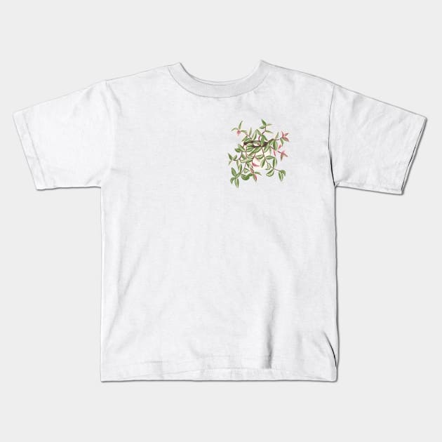 Tradescantia Tricolor Variegated Plant Kids T-Shirt by gronly